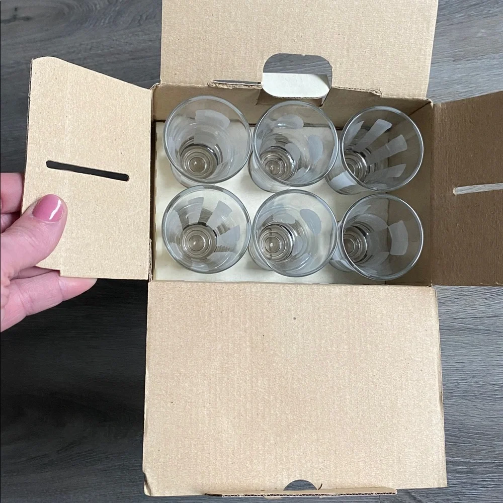 VINTAGE PIER 1 TASTING PARTY COMPLETE SET FROSTED SHOT GLASSES SET 6 PIECE SET